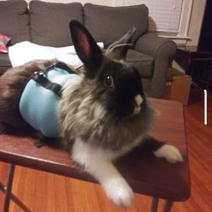 Meet your Posher, Rosaura